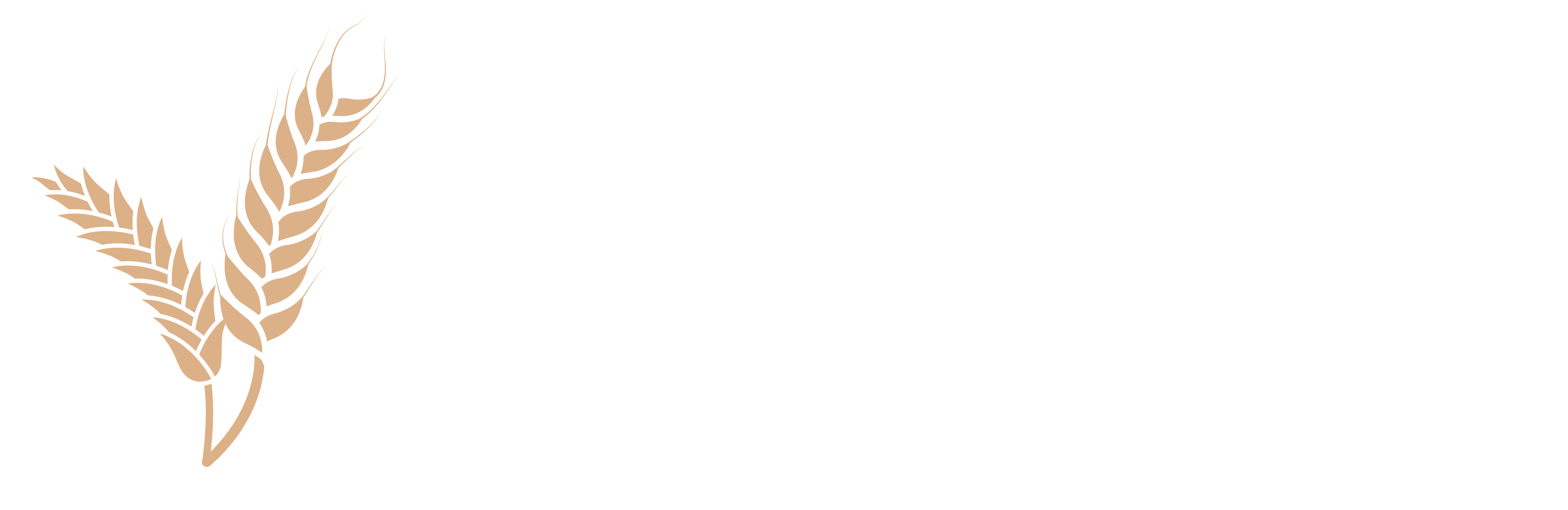 Getreideschule